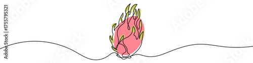 Dragon fruit or Pitaya in one line art style. Drawing of a whole tropical fruit, with editable black stroke and color on a white background. Vector illustration.