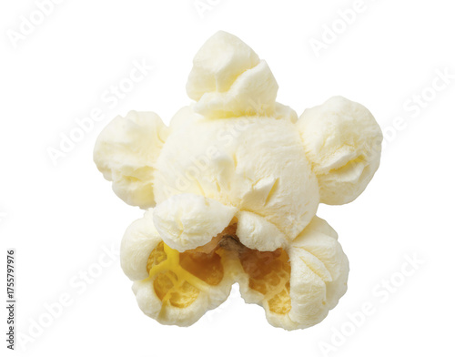 Single popcorn kernel isolated.