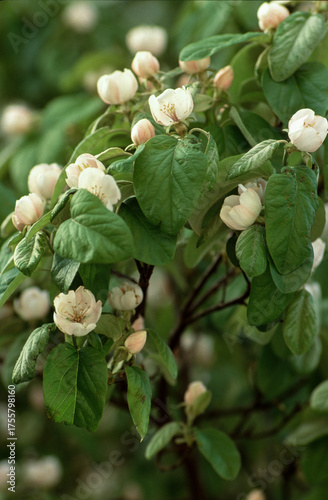 Photography 2025-10-08-0001.tif