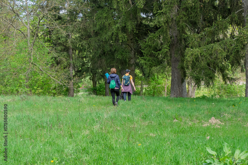 Fototapeta premium Two people with backpacks and a yoga mat walk through a vibrant green meadow towards a dense forest. A peaceful outdoor adventure, embodying health, wellness, and nature exploration.