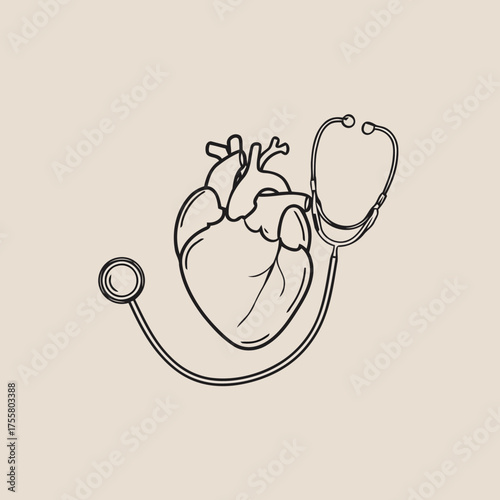 Clinical anatomical heart sketch vector