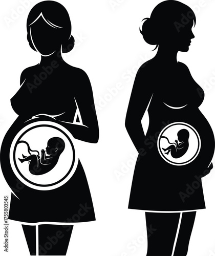 Pregnant Woman Silhouettes with Fetus Displayed in Womb - Two Variations.