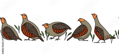 Vector horizontal seamless pattern with hand drawn cute Grey Partridges among green twigs. Beautiful illustration, ink drawing. Perfect for prints and patterns