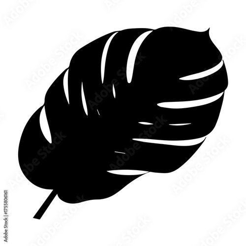 Tropical Monstera Leaf Silhouette Botanical Design Element Exotic Plant Icon Nature Vector Graphic Jungle Decor Shape Vector Illustration