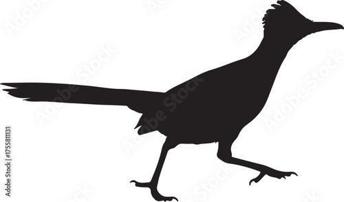 Vector graphic of a Greater Roadrunner bird silhouette. A running chaparral bird icon, a classic desert wildlife symbol, isolated on a white background