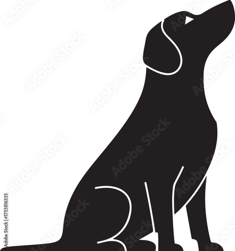 Silhouette of a black dog sitting and looking up