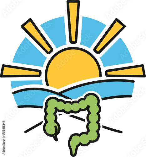 Sunrise Over Intestine A Symbol of Digestive Health and Well-being