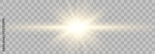 Transparent lens flare effects radiate soft golden light. Sparkles drift gently across the scene. Ideal for holiday or elegant digital designs. 