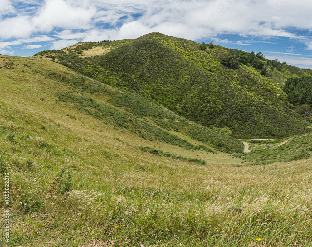 Fototapeta premium ニュージーランド ウェリントンのスカイライン・ウォークウェイからの風景