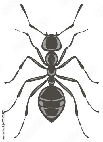 Illustration of a Black Ant with Detailed Legs and Antennae on White Background
