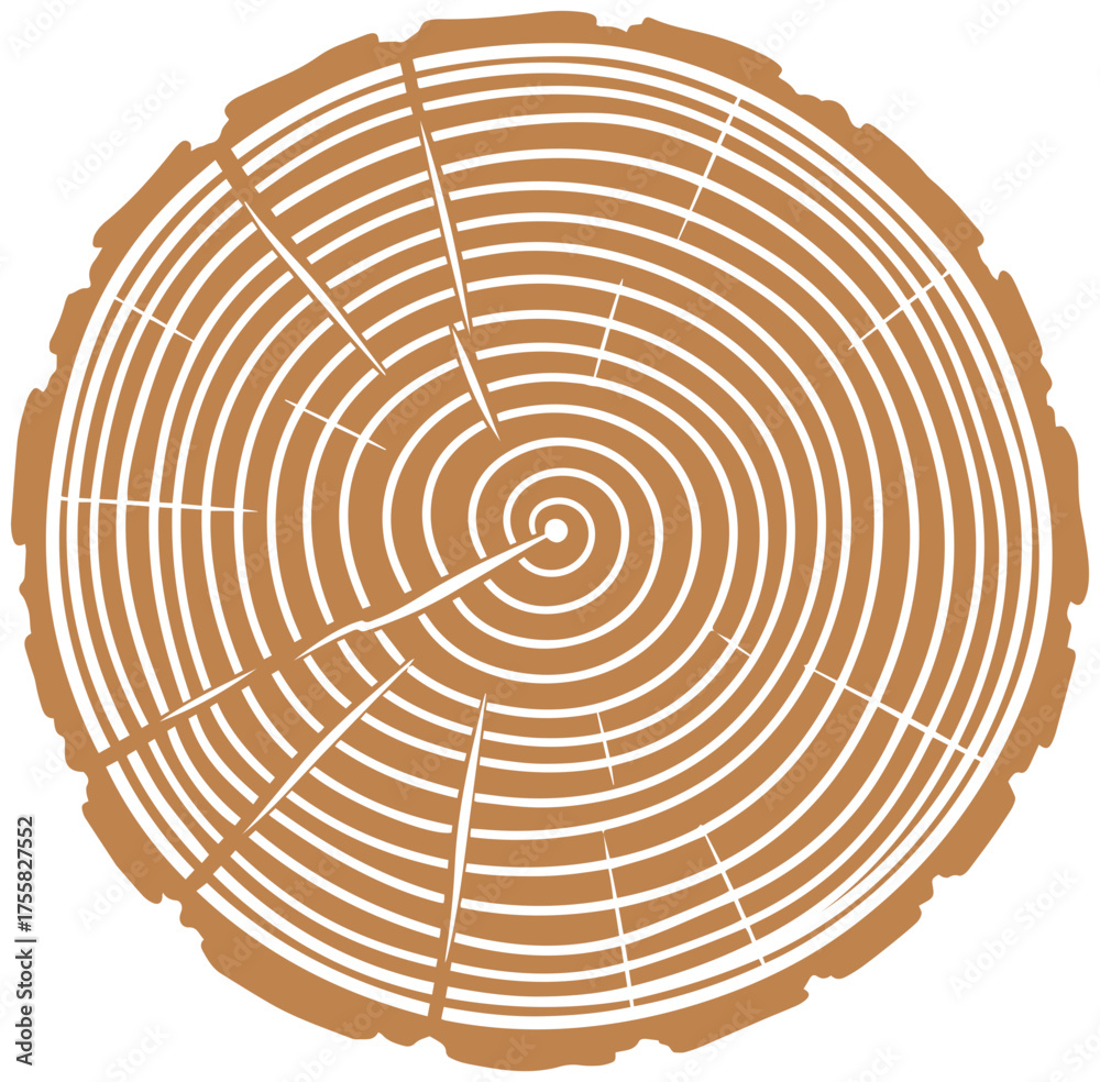 Fototapeta premium Detailed tree ring design showcasing growth, history, and natural organic textures