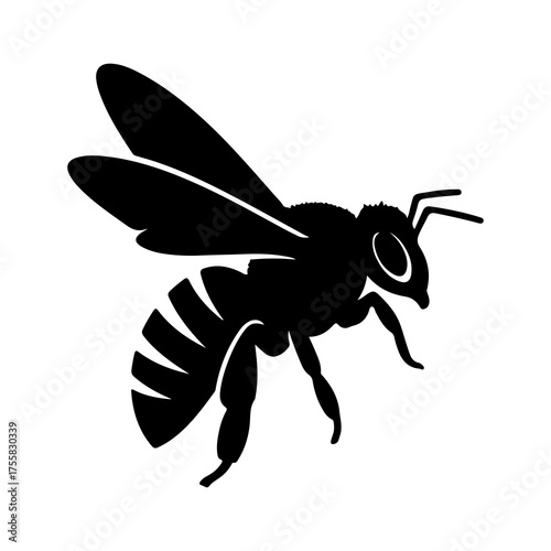 Black bee silhouette with transparent background