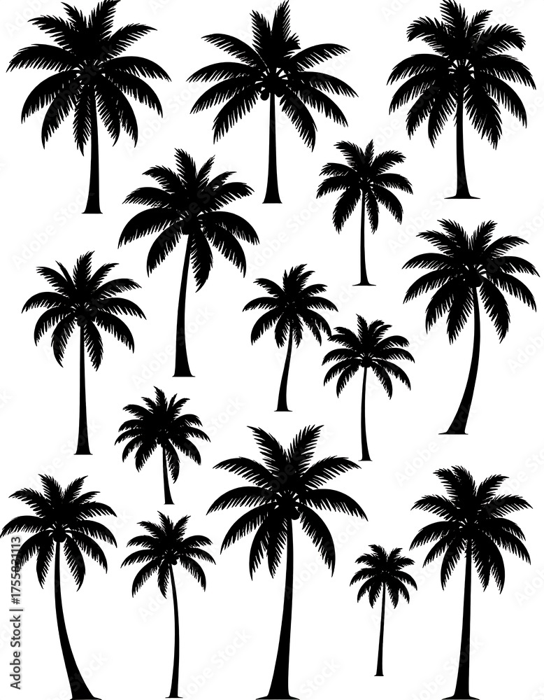 Obraz premium Silhouette collection featuring various palm trees, set against a plain white backdrop