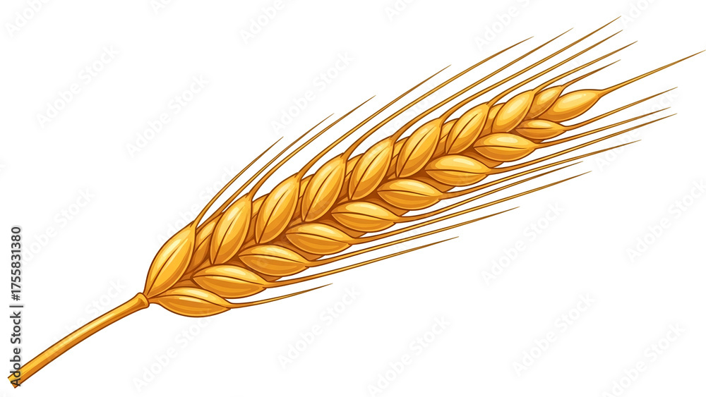 Fototapeta premium Golden Wheat Ear Illustration on Transparent Background for Agriculture and Food Market