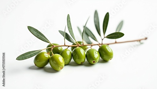 Wallpaper Mural Fresh green olive branch with raw fruit and leaves isolated on a white background. Healthy Mediterranean ingredient Torontodigital.ca