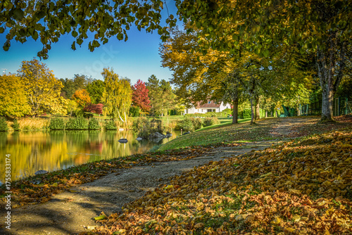 Lovely park with autumn colors