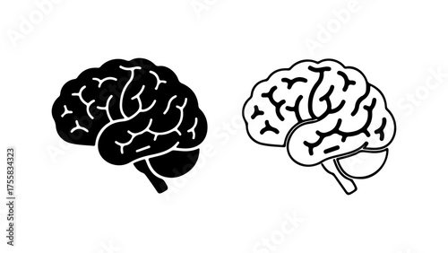 Human brain outline with transparent background