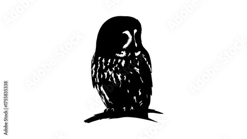 Black owl silhouette with transparent background