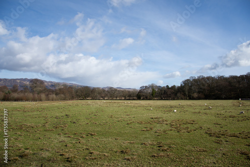 Countryside near Luss, Loch Lomond, Scotland