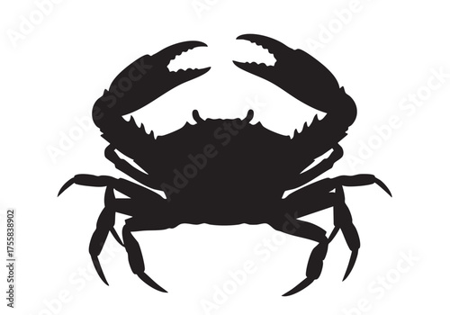 Silhouette of a crab with raised claws against a transparent ocean
