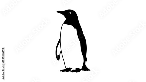 Penguin silhouette with transparent background