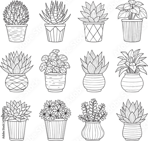 Collection of handdrawn potted houseplants and succulents in a black and white line art style.