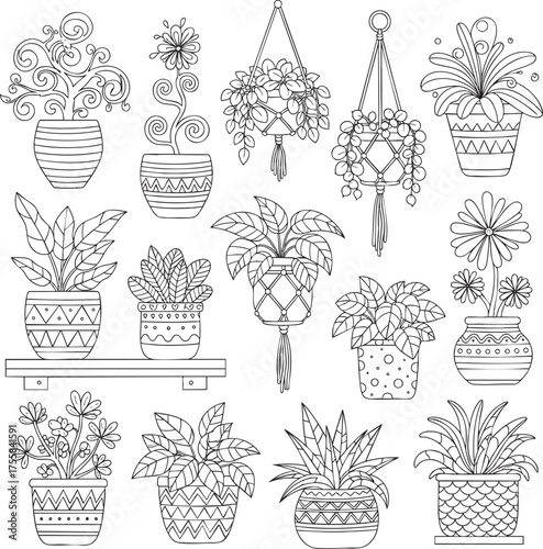 Handdrawn collection of various houseplants in decorative pots and macrame hangers a black and white line art illustration.