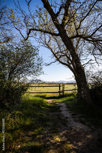 Fotografie Discover a peaceful meadow through a rustic wooden gate, promising tranquility a