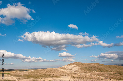 Wheat field in the northern Negev Desert