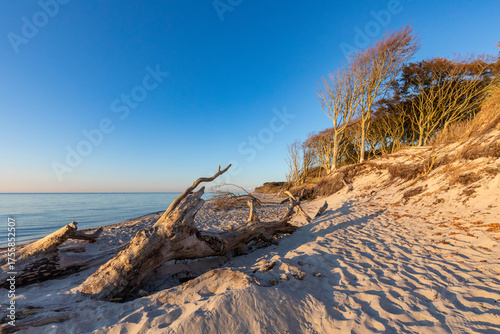 Zum Sonnenuntergang am Darßer Weststrand.