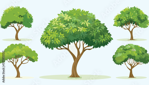 Lush green trees with brown trunks and branches foliage nature