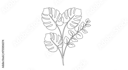 Minimal botanical line art drawing of monstera and eucalyptus leaves elegant continuous line vector illustration modern black and white wall art design perfect for prints posters and greeting cards
