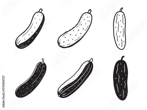 Hand drawn cucumber illustrations silhouette set