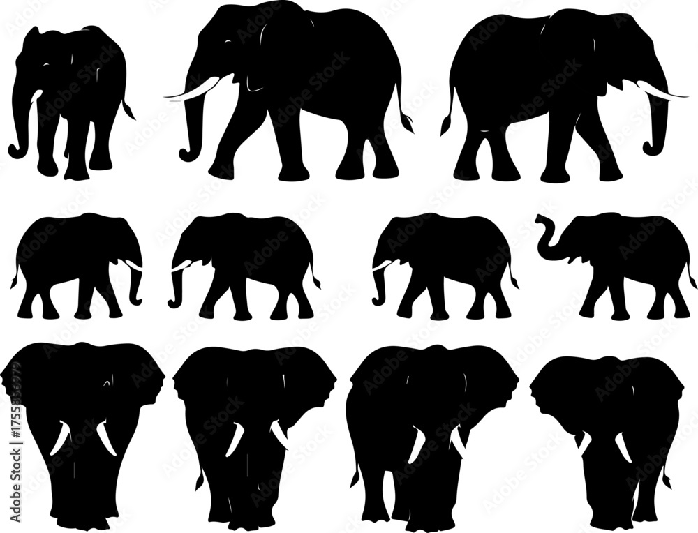 Obraz premium Black Elephant Silhouette Pattern Design