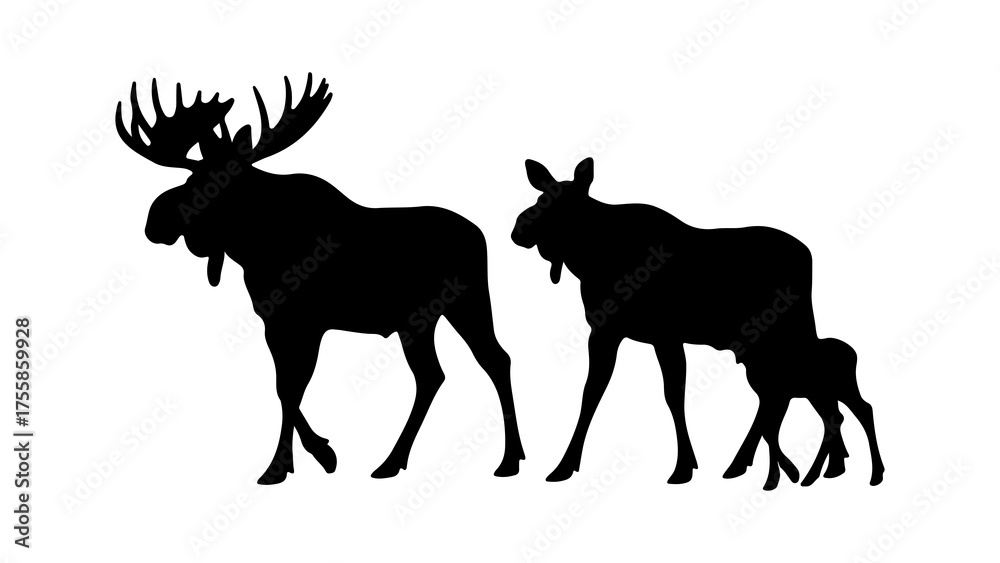 Fototapeta premium Black Silhouette Of A Moose Family Walking