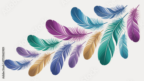 A collection of colorful feathers arranged diagonally on a white background in a visually appealing way