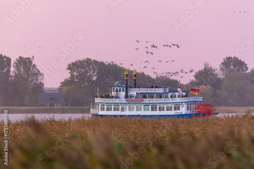 Kranichfahrt mit Raddampfer am Bodden vor Zingst.