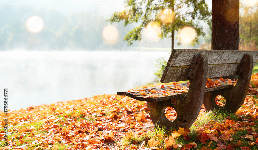 Fototapeta premium Peaceful bench by a lake with rising mist in a colorful autumn forest. Peaceful autumn landscape early in morning bathed in soft sunlight with golden bokeh.
