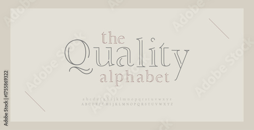 Elegant Font Uppercase Lowercase Number And Ampersand. Classic Lettering Minimal Fashion Designs. Typography modern serif fonts regular decorative vintage concept. vector illustration

