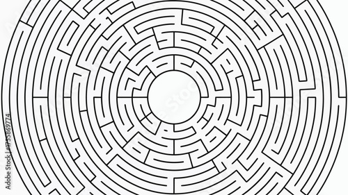 A circular maze with a central empty circle and black lines against a white background pattern design