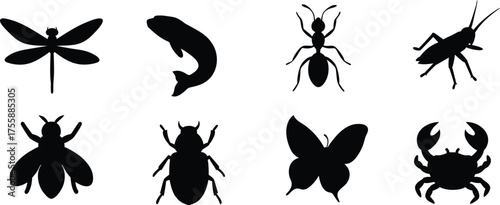 black silhouettes of butterflies