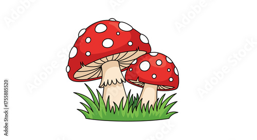 Two vibrant red and white spotted toadstools growing in lush green grass.