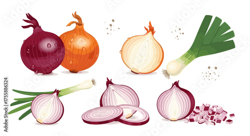 A variety of fresh onions and leeks displayed for culinary use and healthy eating.