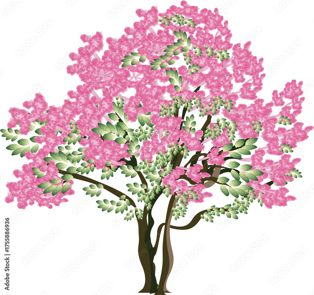 Obraz premium Crape myrtle