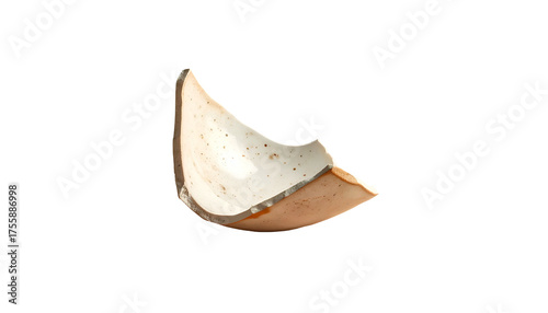 Shard of ceramic, white glazed interior, brown exterior, on black background