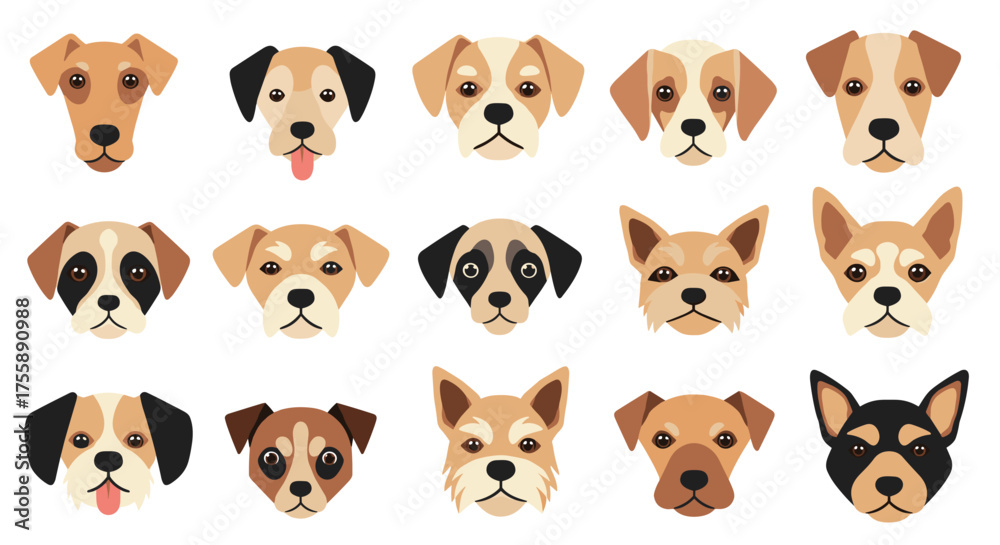 Obraz premium A collection of various dog breeds and their adorable faces.