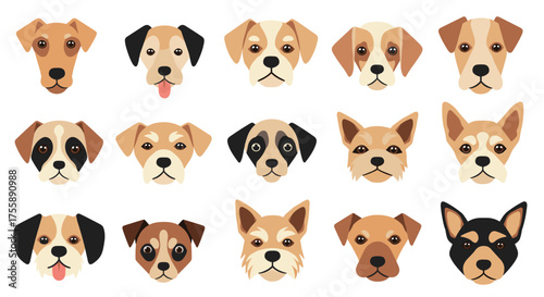 A collection of various dog breeds and their adorable faces.
