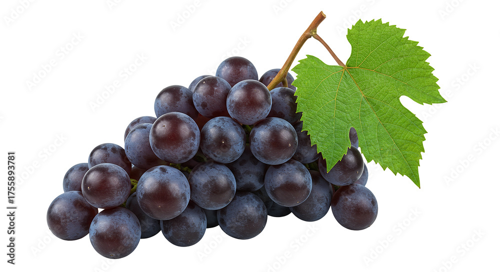 Obraz premium Fresh Black Grapes with Green Leaf isolated on Black Background
