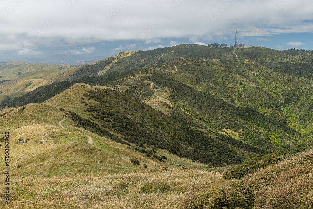 Obraz premium ニュージーランド ウェリントンのスカイライン・ウォークウェイから見えるマウント・カウカウのラジオ塔