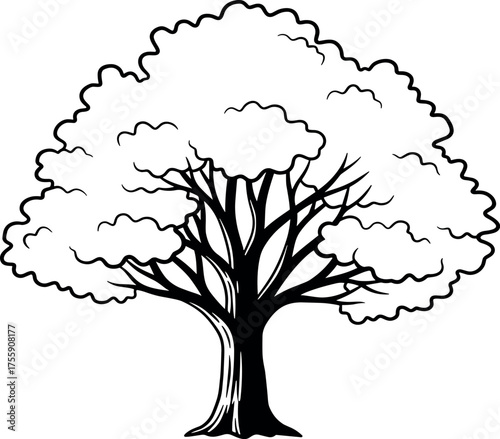 Detailed Black and White Illustration of a Majestic Tree with Lush Foliage and Intricate Branching